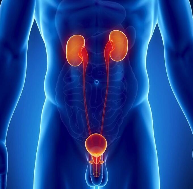 quali malattie croniche possono influenzare la potenza maschile